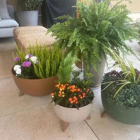 Luxury Private In Prague - House Vila